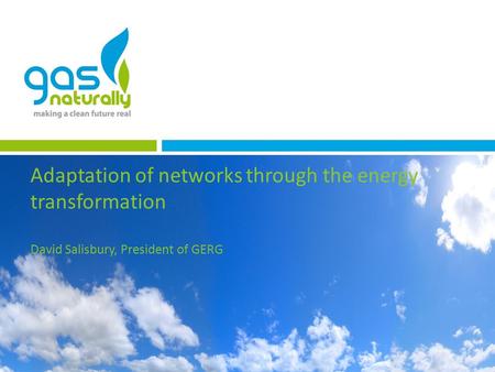 Adaptation of networks through the energy transformation David Salisbury, President of GERG.