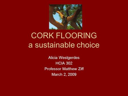 CORK FLOORING a sustainable choice Alicia Westgerdes HCIA 302 Professor Matthew Ziff March 2, 2009.