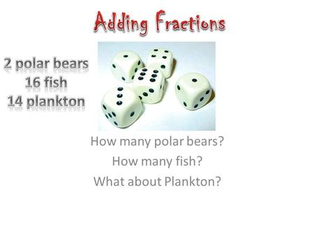 How many polar bears? How many fish? What about Plankton?