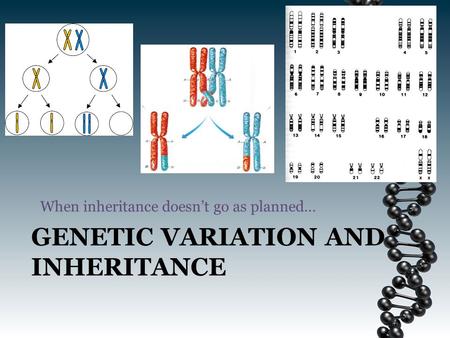 GENETIC VARIATION AND INHERITANCE When inheritance doesn’t go as planned…
