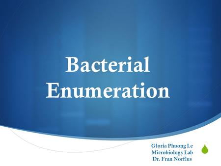  Bacterial Enumeration Gloria Phuong Le Microbiology Lab Dr. Fran Norflus.