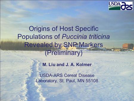 Origins of Host Specific Populations of Puccinia triticina Revealed by SNP Markers (Preliminary) M. Liu and J. A. Kolmer USDA-ARS Cereal Disease Laboratory,
