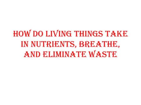 how Do living things take in nutrients, breathe, and eliminate waste