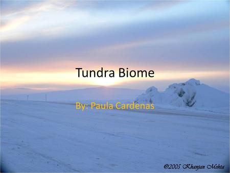 Tundra Biome By: Paula Cardenas.