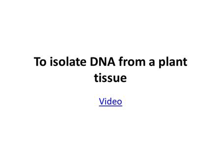 To isolate DNA from a plant tissue