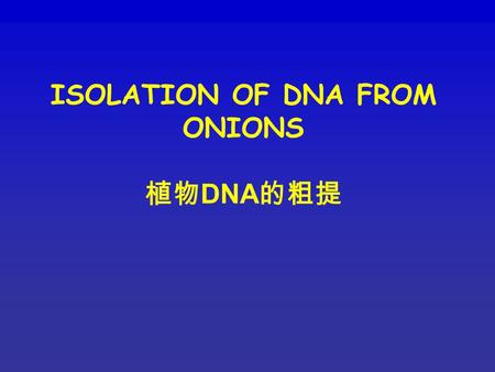 ISOLATION OF DNA FROM ONIONS 植物 DNA 的粗提. Aim To isolate nucleic acids from onion tissue. Note: nucleic acids prepared in this way will not be very pure.
