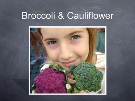 Broccoli & Cauliflower. One Big Happy Family Broccoli & Cauliflower: Branches on the cabbage family tree Cabbage Family (Brassicaceae) Broccoli (B. oleracea)