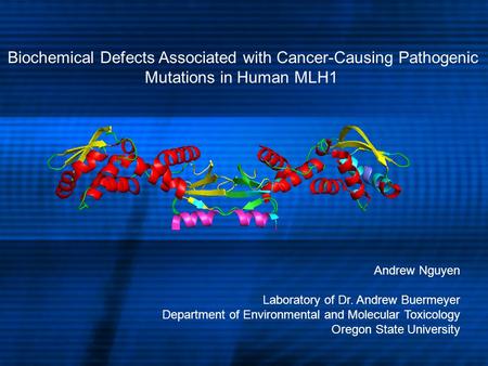 Biochemical Defects Associated with Cancer-Causing Pathogenic Mutations in Human MLH1 Andrew Nguyen Laboratory of Dr. Andrew Buermeyer Department of Environmental.