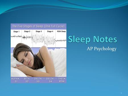 Sleep Notes AP Psychology.