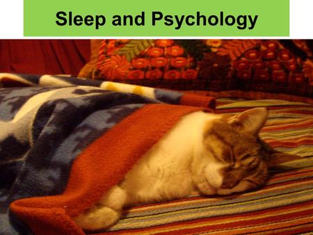 Sleep and Psychology. Why do we sleep? Sleep may be a way of recharging the brain. The brain has a chance to shut down and repair neurons. Sleep gives.