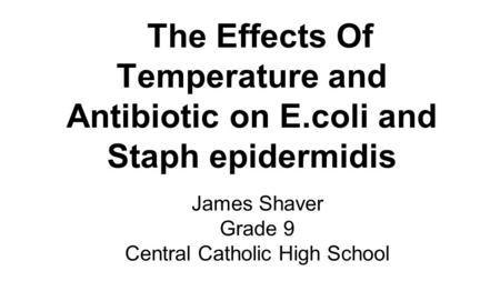 The Effects Of Temperature and Antibiotic on E.coli and Staph epidermidis James Shaver Grade 9 Central Catholic High School.