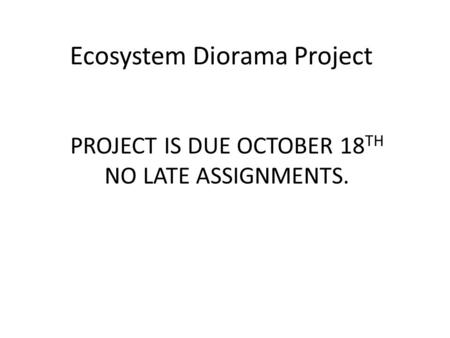 Ecosystem Diorama Project