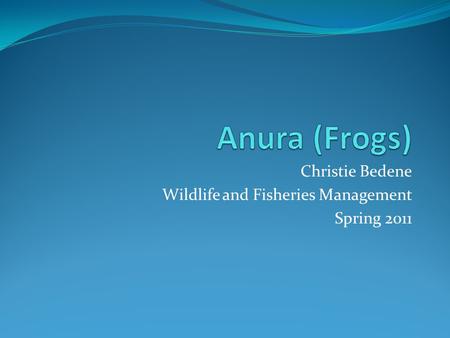 Christie Bedene Wildlife and Fisheries Management Spring 2011.