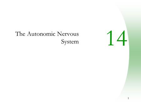 1 14 The Autonomic Nervous System. 2 Autonomic Nervous System (ANS)  The ANS consists of motor neurons that:  Innervate smooth and cardiac muscle and.
