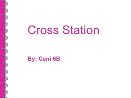 Cross Station By: Ceni 6B. What is Cross Station Cross station is one of the devotion. In cross station we use the bible and we read based prayers and.