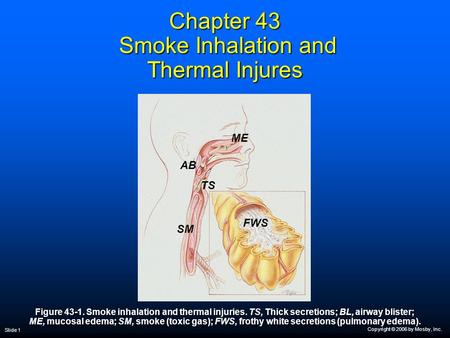Copyright © 2006 by Mosby, Inc. Slide 1 Chapter 43 Smoke Inhalation and Thermal Injures Figure 43-1. Smoke inhalation and thermal injuries. TS, Thick secretions;