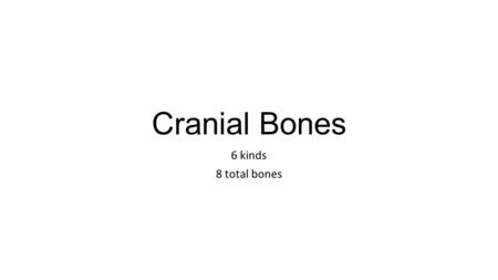 Cranial Bones 6 kinds 8 total bones.