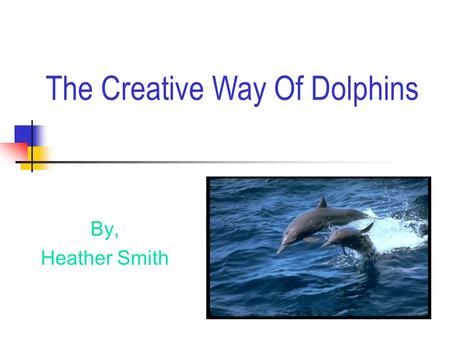 By, Heather Smith The Creative Way Of Dolphins Attraction or Distraction?  Attraction  Size,length & weight  Body parts.