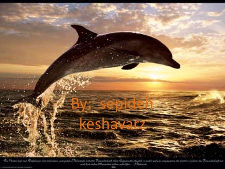 By: sepideh keshavarz. Pages Introduction1 What is dolphin?2 How fast do dolphin swim?3 What dolphin eat?4 How big the dolphin grow?5 Do dolphin have.