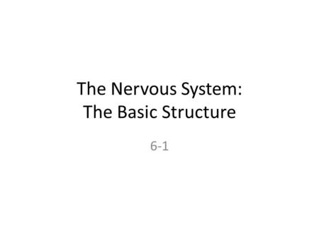 The Nervous System: The Basic Structure 6-1. From “Running and ME: A Love Story” by Joan Nesbit, 1999 It’s almost like running is this great friend we.