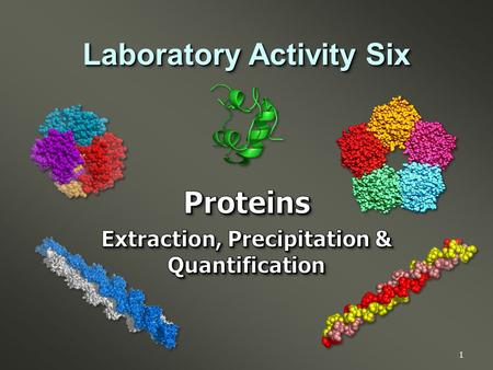 1 Laboratory Activity Six. Introduction to the theory, concerns & applications in the handling of proteins for biochemical studies. Specifically:  Tissue.