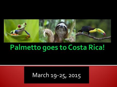 March 19-25, 2015.  Castillo  Cromer  Hopta  Ortiz.