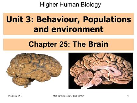 Unit 3: Behaviour, Populations and environment Chapter 25: The Brain 20/08/2015Mrs Smith Ch25 The Brain1 Higher Human Biology.