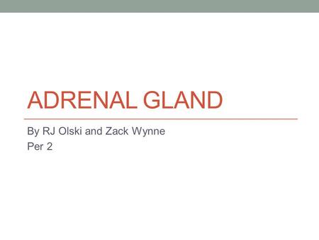 ADRENAL GLAND By RJ Olski and Zack Wynne Per 2. Endocrine System at a glance Regulate Hormones Regulates Body Processes Saliva Sweat.