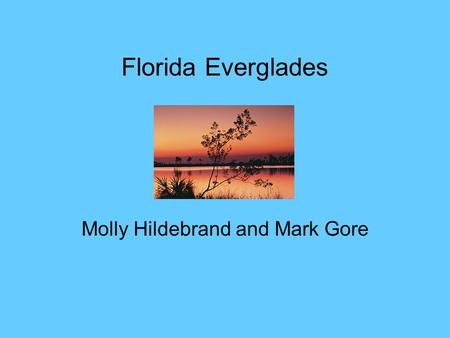 Florida Everglades Molly Hildebrand and Mark Gore.
