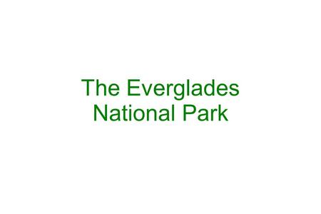 The Everglades National Park. The Everglades, spanning the southern tip of the Florida peninsula, is the largest remaining subtropical wilderness in the.