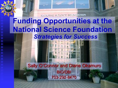 Funding Opportunities at the National Science Foundation Sally O’Connor and Diane Okamuro Strategies for Success BIO/DBI703-292-8470.