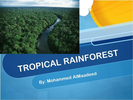 TROPICAL RAINFOREST By: Mohammed AlMaadeed. Introduction Rainforest is a forest with a lot of rain and tall tree. Animals protect their self with the.