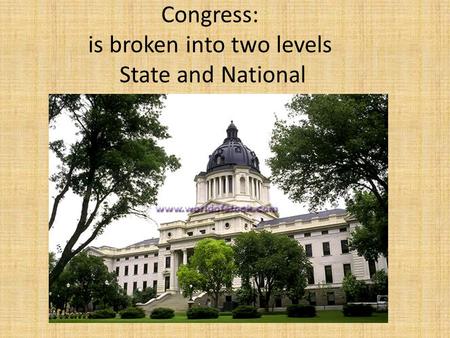 Congress: is broken into two levels State and National.