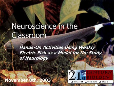 Neuroscience in the Classroom Hands-On Activities Using Weakly Electric Fish as a Model for the Study of Neurology November 8th, 2003.