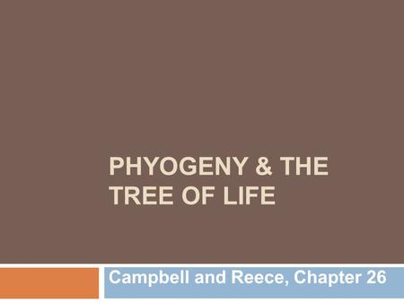 PHYOGENY & THE Tree of life