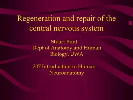 Regeneration and repair of the central nervous system Stuart Bunt Dept of Anatomy and Human Biology, UWA 207 Introduction to Human Neuroanatomy.