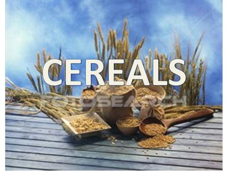 Cereals are a plant food, that are edible seeds from grasses.