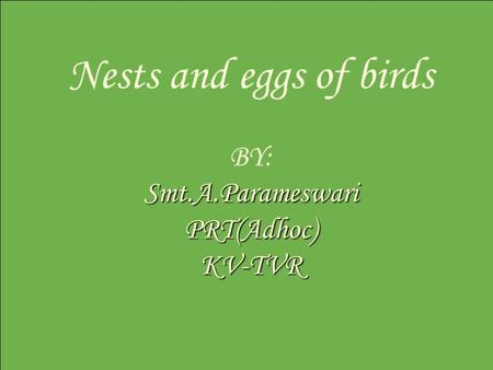 Smt.A.Parameswari PRT(Adhoc) KV-TVR Nests and eggs of birds BY: Smt.A.Parameswari PRT(Adhoc) KV-TVR.