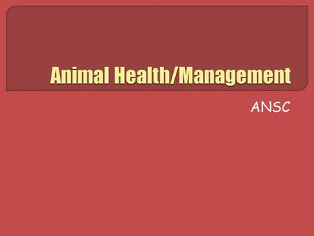 Animal Health/Management