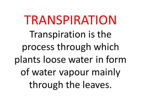 TRANSPIRATION Transpiration is the process through which plants loose water in form of water vapour mainly through the leaves.