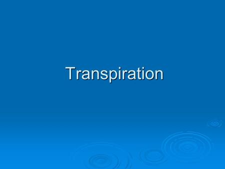 Transpiration. Plant Structure Terms: Epidermis – Skin or layer on the outside. Vascular Tissue – components required to help transport nutrients and.