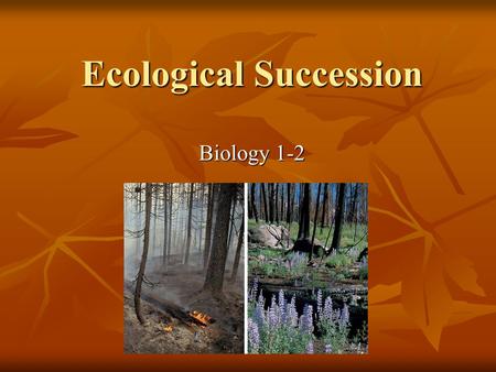 Ecological Succession Biology 1-2. Ecological Succession Ecological succession-process of biological community change. Ecological succession-process of.