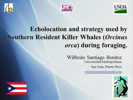 Echolocation and strategy used by Southern Resident Killer Whales (Orcinus orca) during foraging. Wilfredo Santiago Benítez Universidad Metropolitana San.