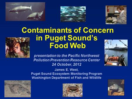 Contaminants of Concern in Puget Sound’s Food Web presentation to the Pacific Northwest Pollution Prevention Resource Center 24 October, 2012 James E.