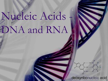 Nucleic Acids -DNA and RNA