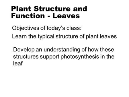 Plant Structure and Function - Leaves