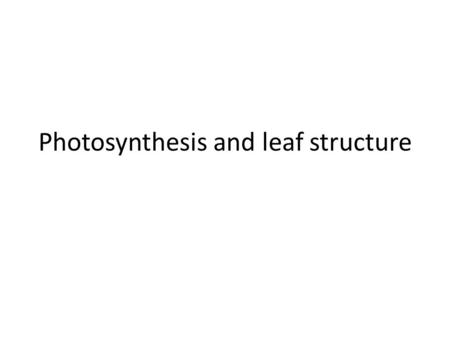 Photosynthesis and leaf structure