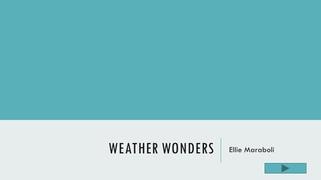 WEATHER WONDERS Ellie Maraboli. Content Area: Science Grade Level: 1 st Summary: the purpose of this PowerPoint is to provide you with basic information.