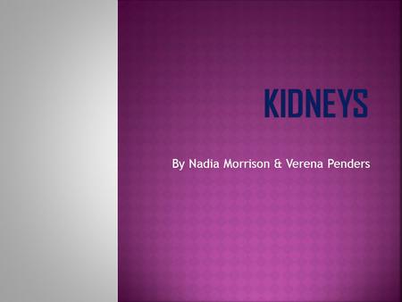 By Nadia Morrison & Verena Penders.  The subject we are going to teach you about is the kidneys. 1. Why we need them 2. How they work 3. Fun facts.