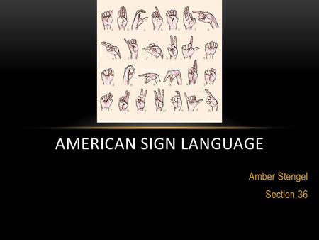 Amber Stengel Section 36 AMERICAN SIGN LANGUAGE. TO CLEAR UP A FEW THINGS... Interpreter Culture Deaf deaf.
